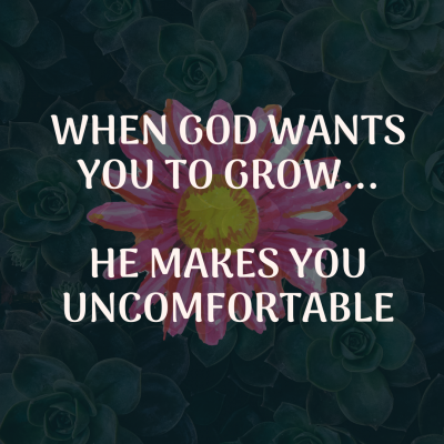 Beautifully Uncomfortable